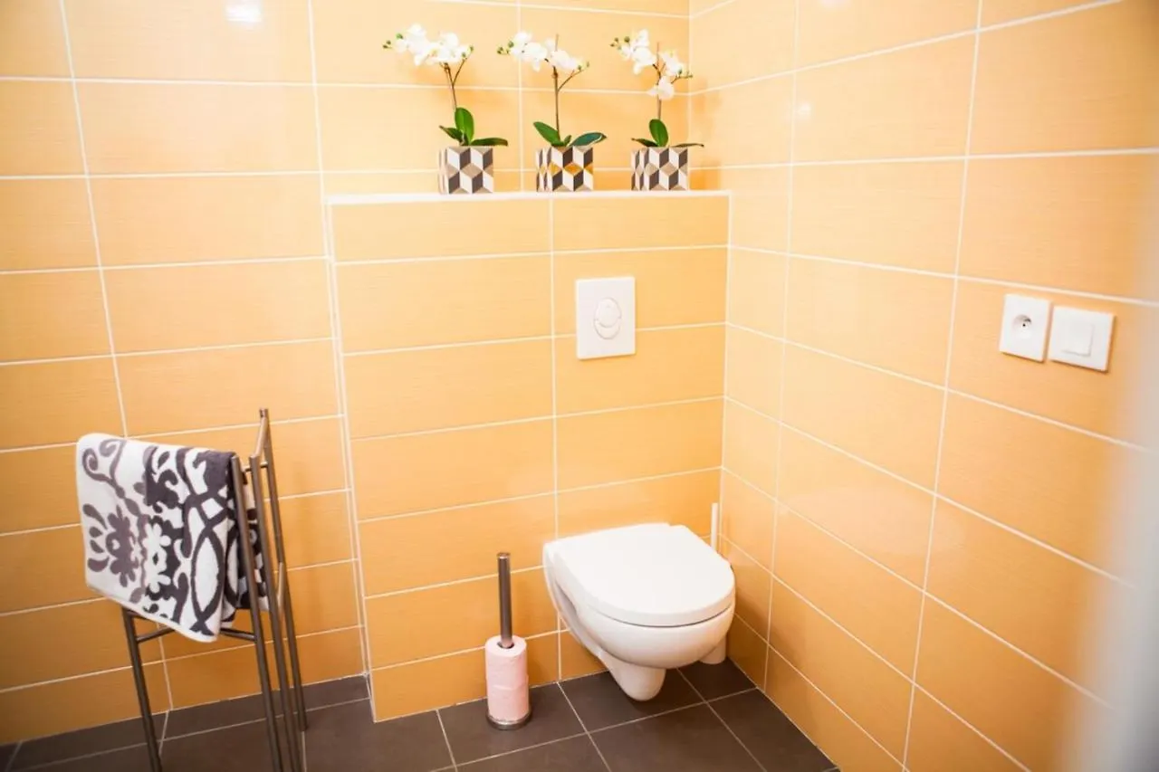Studio With Garage Near Perrache Train Station Lyon City Center 0*,  Francia